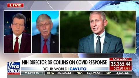 NIH Director: I Was Never Going To Fire Fauci