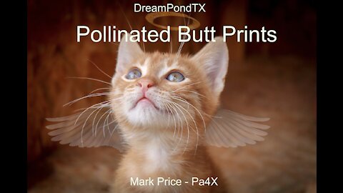 DreamPondTX/Mark Price - Pollinated Butt Prints (Pa4X at the Pond, PP)