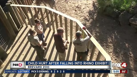 Toddler hurt falling into rhino exhibit at Florida zoo