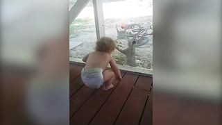 A Cat Gives A Toddler Girl All The Giggles