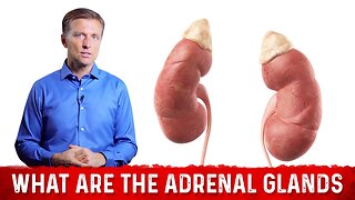 What are the Adrenal Glands? – Effects of Cortisol & Adrenal Hormones – Dr.Berg