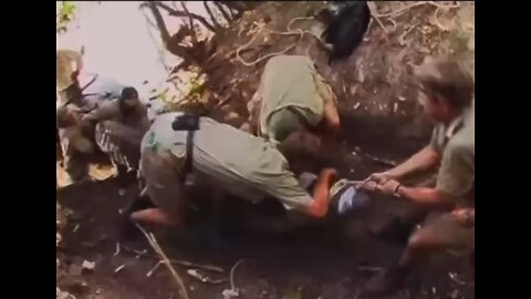 Steve Irwin’s biggest crocodile catch 😱😱