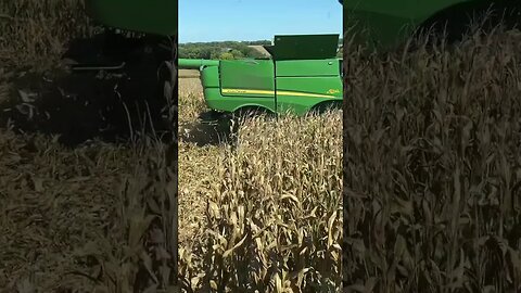 Eastern Nebraska corn harvest 9/24/23