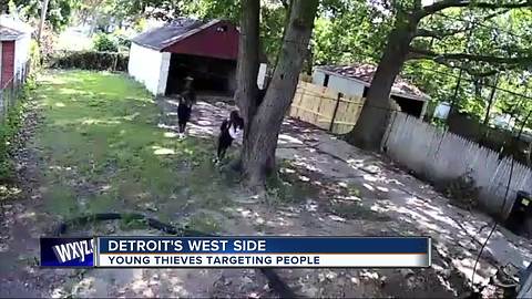 Ring of young thieves leaving many people in Detroit's Warrendale neighborhood on edge