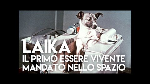 Laika, il primo essere vivente mandato nello spazio - SPACE TV