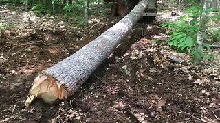 L34OOdt logging