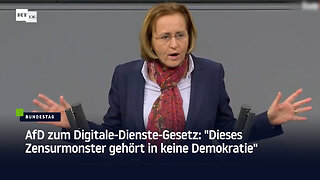 AfD zum Digitale-Dienste-Gesetz: "Dieses Zensurmonster gehört in keine Demokratie"