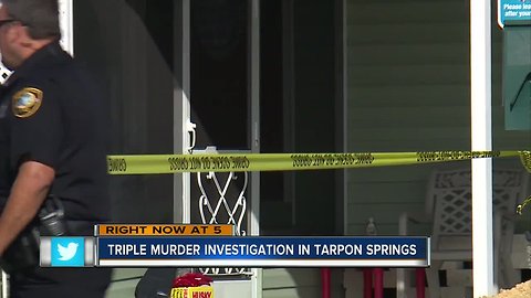 Police: 3 adults, 3 dogs found dead inside Tarpon Springs home
