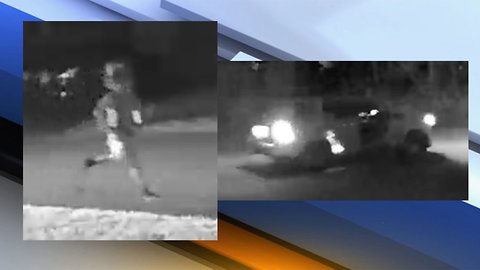 'Car creepers' steal Range Rover from Palm Beach County home