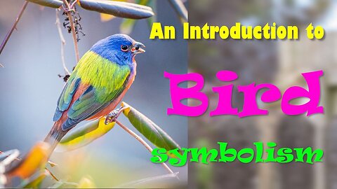 An Introduction to Bird symbolism