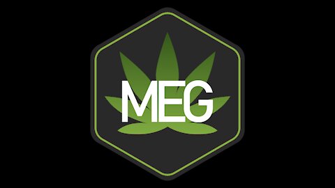MEG - Introducción