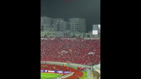 Moroccan club Wydad fans chant for Palestine during match