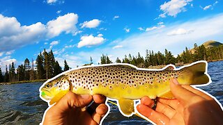 Trout Fishing Is Heating Up In Rocky Mountain National Park!