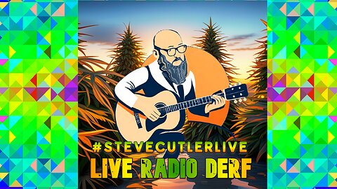 STEVER's RAIDIO DERF - Pickin n spinnin burning down flowers Friedazed