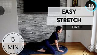 Day 11 - Easy Stretch / NEW HABITS YOGA/ DAISYYOGA