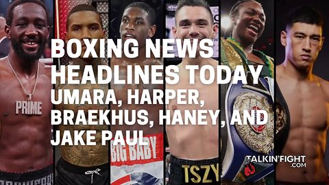 Umara, Harper, Braekhus, Haney, and Jake Paul | Boxing News Headlines