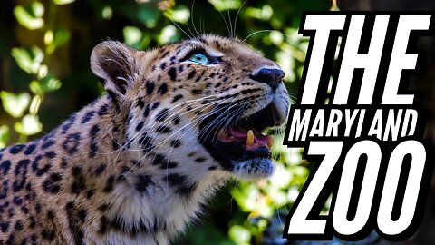 The Maryland Zoo Watch And You Tell Me Is It Worth A Visit???