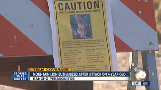 Boy attacked by mountain lion in San Diego's Los Peñasquitos Canyon