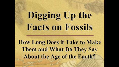 Digging Up the Facts on Fossils