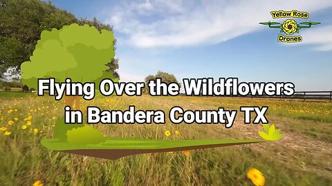 Flying the Avata FPV Drone Over a Wildflower Field in Bandera Texas. #wildflowers #bandera #avata