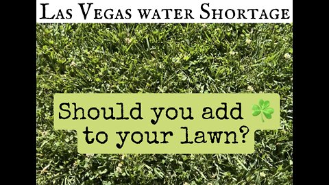 Las Vegas water shortage and Why we should we leave the green!