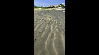 Crab Beach Costa Rica!!