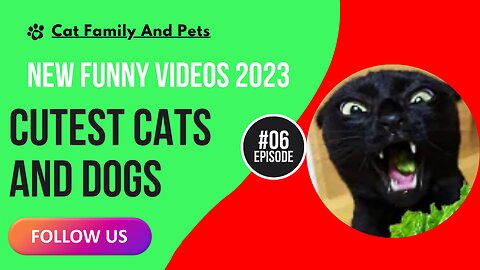 New Funny Videos 2023😍 Cutest Cats and Dogs 🐱🐶 Part 06