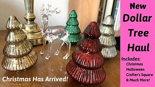 New Dollar Tree Haul ~ Christmas Has Arrived ~ Great Large Mix of New Items