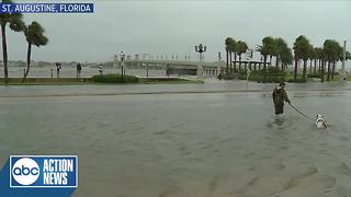 A man was seen walking his dog through flooding in St. Augustine from Hurricane Irma