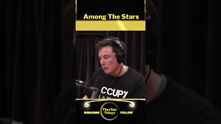 Elon Musk, Among The Stars