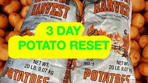 WHAT HAPPENS AFTER A 3 DAY POTATO RESET?? LET'S FIND OUT
