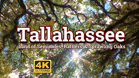 Tallahassee - Land of Seminoles, Rattlers, and Sprawling Oaks