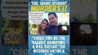 🔎 ‘THE IDAHO UNIVERSITY MURDERS’ ~ NEWS UPDATE ~ DAY 24.(07/12/22). IS THIS THE KILLERS HANDPRINT??