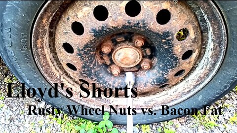 Lloyds Shorts - Rusty Wheel Nuts vs. Bacon Fat