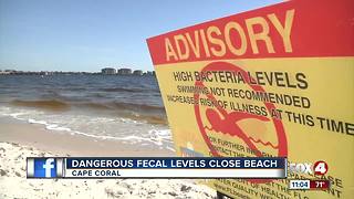 Dangerous Fecal Levels Close Beach