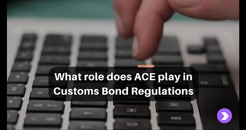 The Connection Between ACE and Customs Bonds