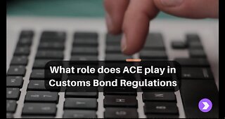 The Connection Between ACE and Customs Bonds