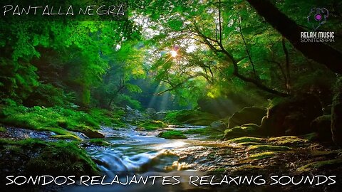 PANTALLA NEGRA Sonidos del Bosque - RELAJANTE NATURAL- Sonidos de la Naturaleza para Relajarse