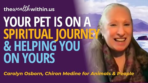 Your Pet is on a Spiritual Journey and Here to Help You on Yours