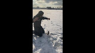 Walleye/doré fishing on ice