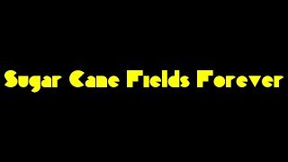 Sugar Cane Fields Forever 🌾