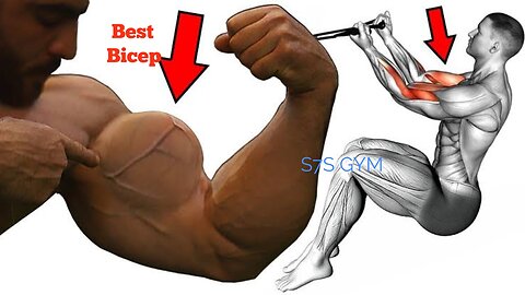 Best Bicep Exercises | S7S GYM