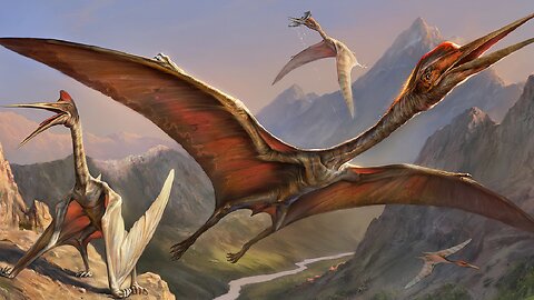 How The Quetzalcoatlus Was A Bizarre Predator!