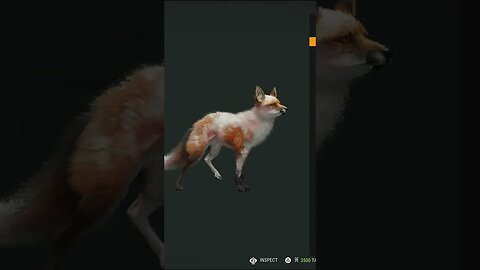 .22-250 MELTS Piebald 🦊 Red Fox - theHunter: Call of the Wild #shorts