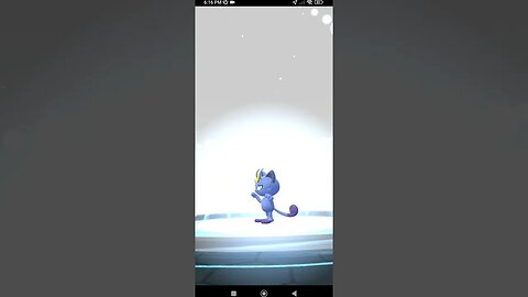 Pokémon GO-Evolving Shiny Alolan Meowth