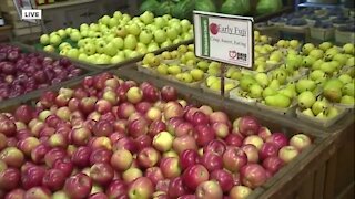 It's apple-picking season at the Burnham Orchards