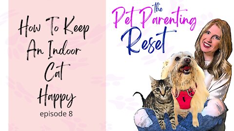 How To Keep An Indoor Cat Happy | The Pet Parenting Reset episode 8