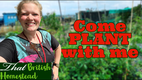 Pricking out Seedlings! Growing Veg From Seed!: Allotment Garden