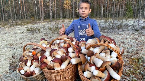 How to pick mushrooms