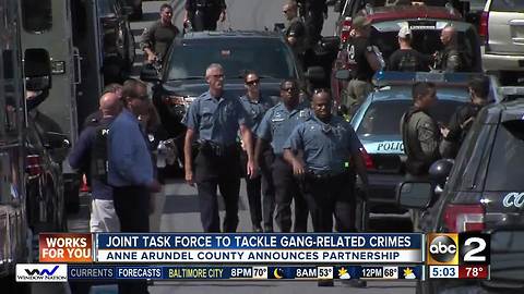 Anne Arundel County creates joint task force to combat gang-related crimes